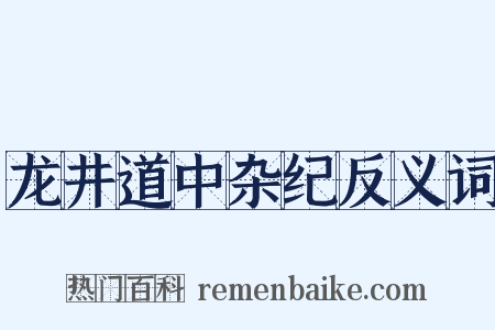 龙井道中杂纪反义词是什么意思的图片